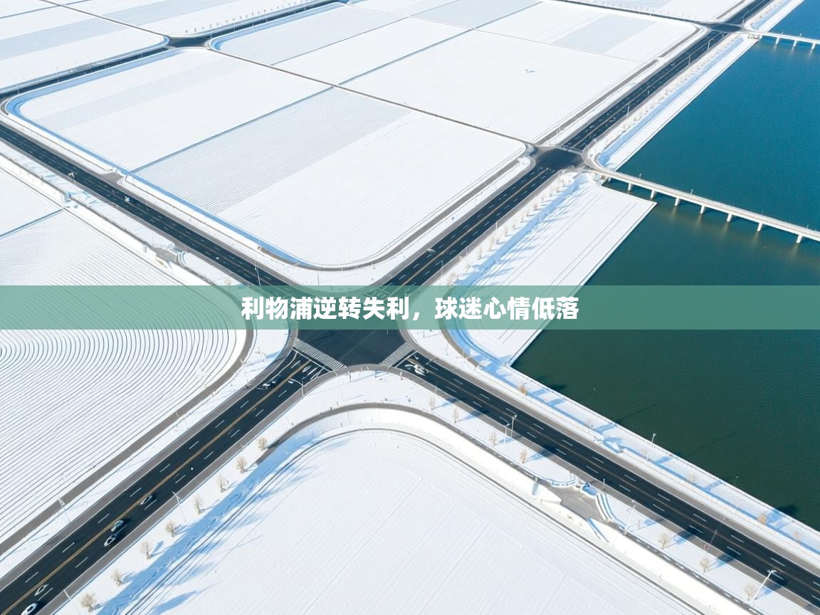 利物浦逆转失利,球迷心情低落 第2张