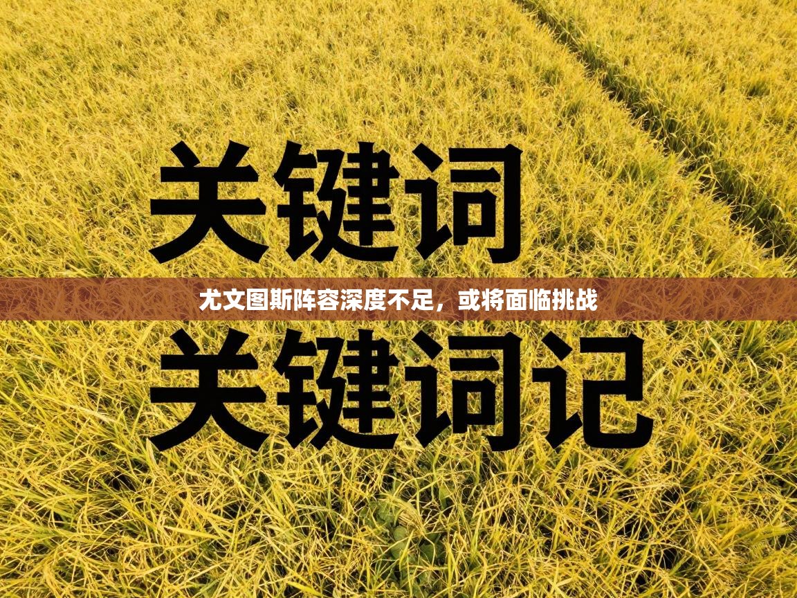 尤文图斯阵容深度不足，或将面临挑战  第2张