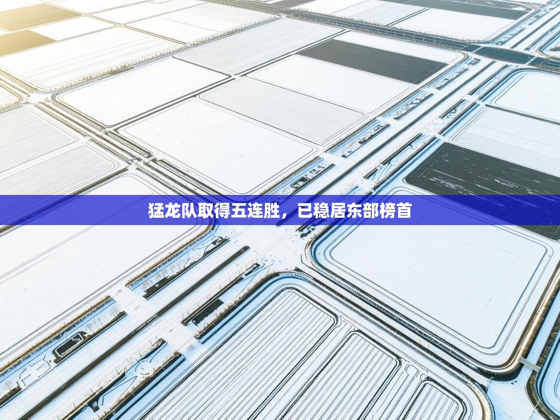 猛龙队取得五连胜，已稳居东部榜首  第1张