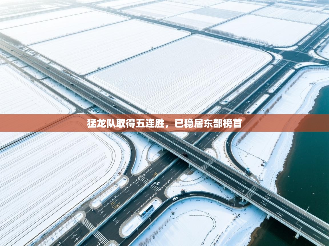 猛龙队取得五连胜，已稳居东部榜首  第2张