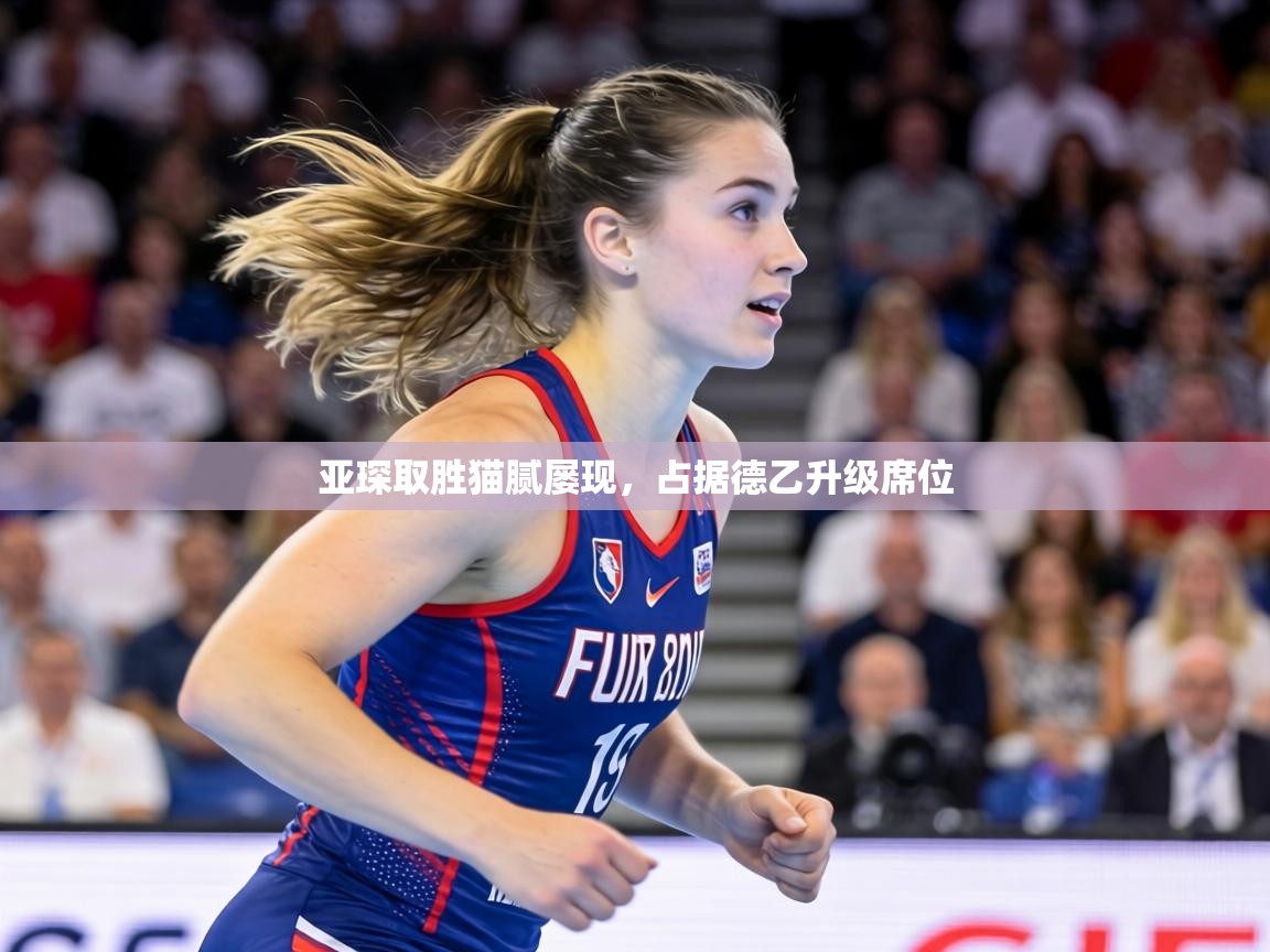 亚琛取胜猫腻屡现，占据德乙升级席位  第2张