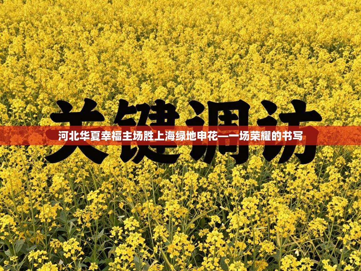 河北华夏幸福主场胜上海绿地申花—一场荣耀的书写  第1张